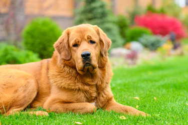 Similar image 21294082