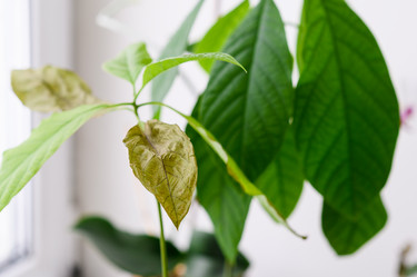 Similar image 21294084