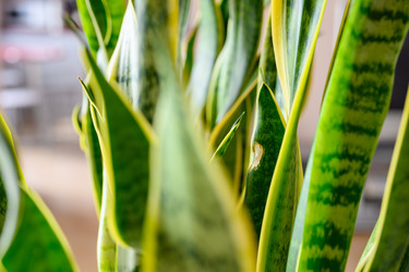 Similar image 21294089