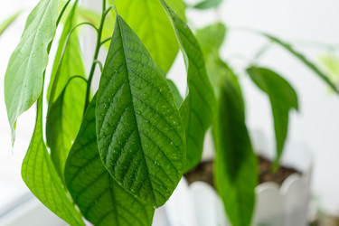 Similar image 21294092