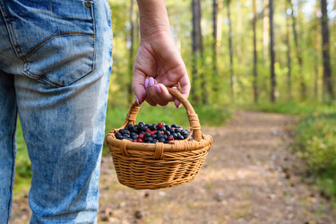 Similar image 21293736