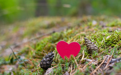 Similar image 21293741