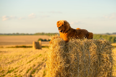 Similar image 21293746