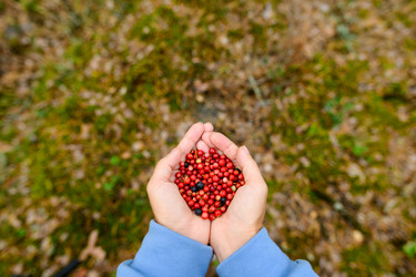 Similar image 21294107