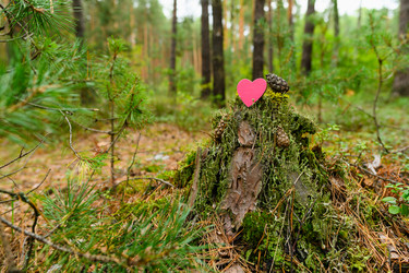 Similar image 21294109