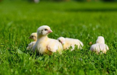 Similar image 21294112