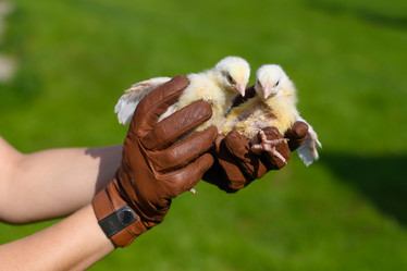 Similar image 21294114