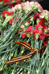 Similar image 21309143