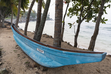 Similar image 21312483