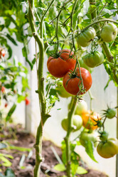 Similar image 21294119