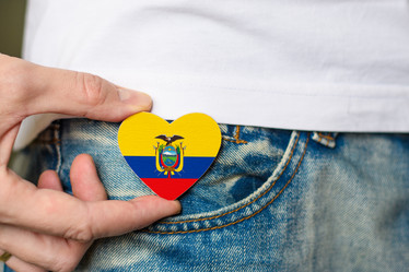 Similar image 21333610