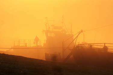 Similar image 21312596