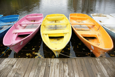 Similar image 21312602