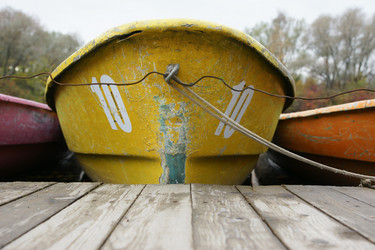 Similar image 21312603