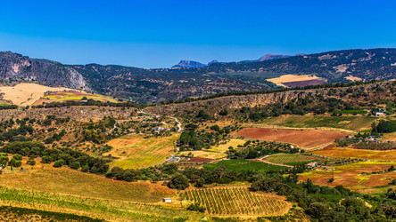 Similar image 21297830