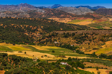 Similar image 21297832