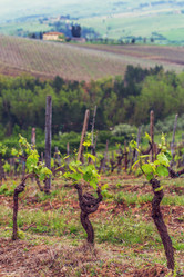 Similar image 21296023