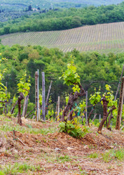 Similar image 21296025