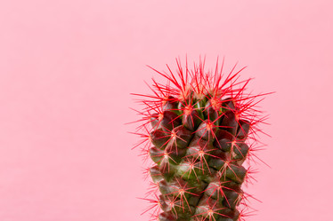 Similar image 21296513