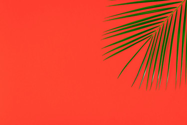 Similar image 21296071