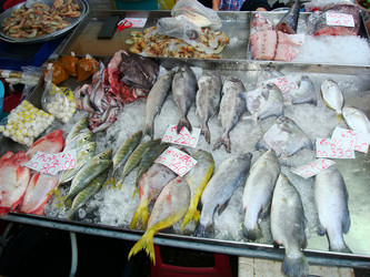 Similar image 21308344