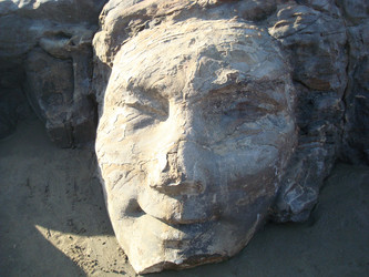 Similar image 21307024