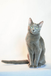 Similar image 21319944