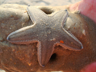 Similar image 21307026