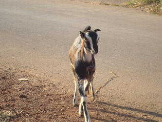 Similar image 21308345