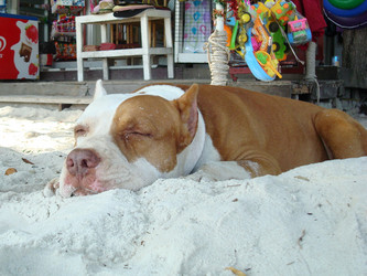 Similar image 21308347