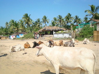 Similar image 21308348