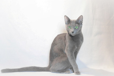 Similar image 21319946