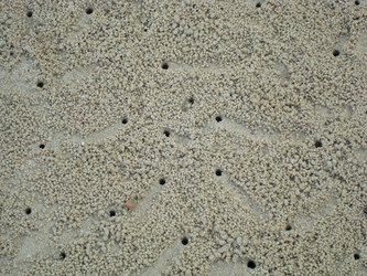 Similar image 21310899