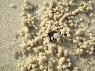 Similar image 21310900