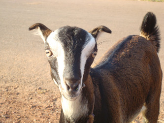 Similar image 21307171