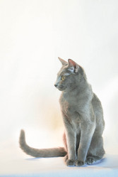 Similar image 21293017