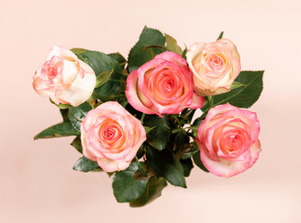 Similar image 21293826