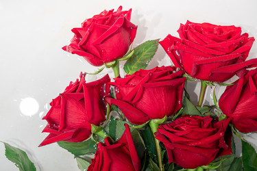 Similar image 21293836