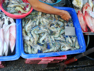 Similar image 21308350