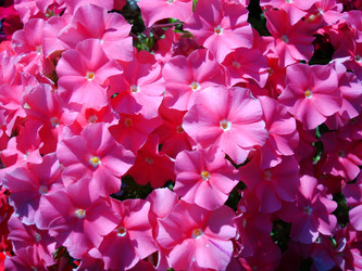 Similar image 21334701