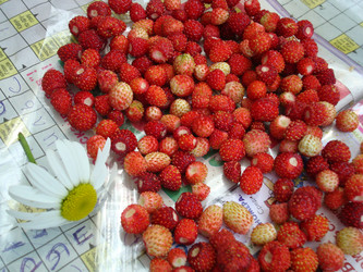 Similar image 21334702