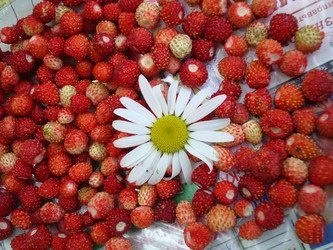 Similar image 21319949