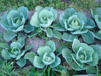 Similar image 21310902