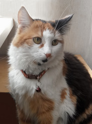 Similar image 21293023