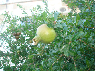 Similar image 21310906