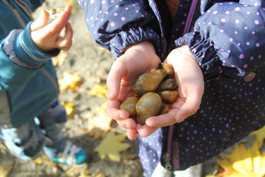 Similar image 21307043