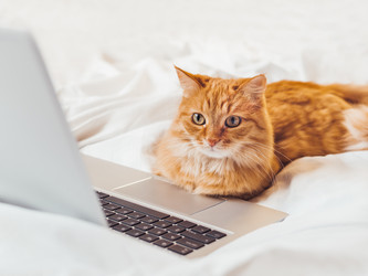 Similar image 21292513