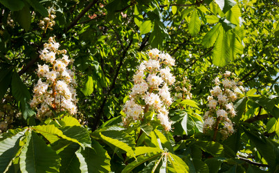 Similar image 21293031