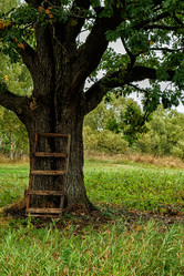 Similar image 21296643