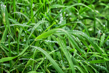 Similar image 21298063